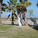 Palm *
