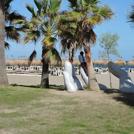 Palm *