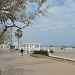 Palm